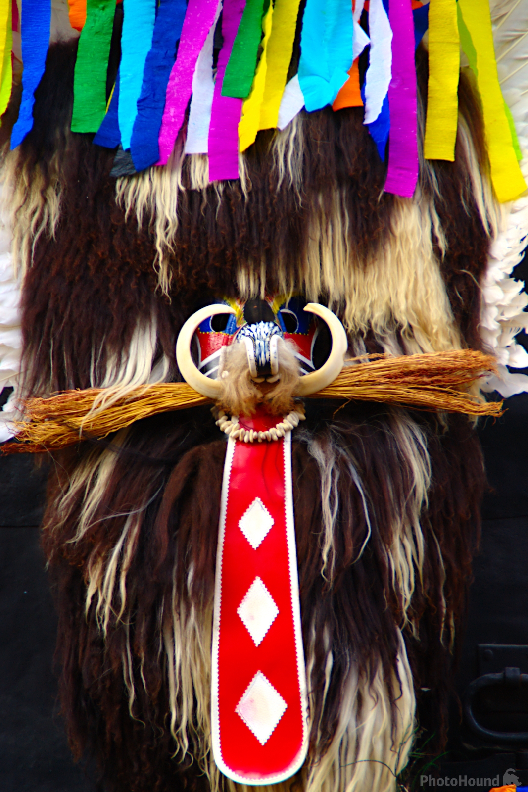 Image of Kurentovanje international carnival festival by Andreja Tominac