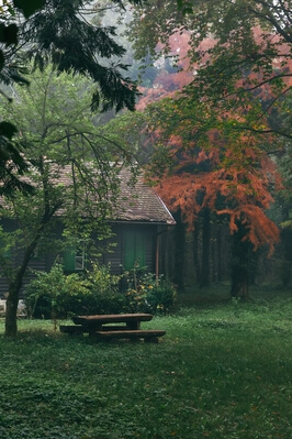 Autumn in Maksimir Park