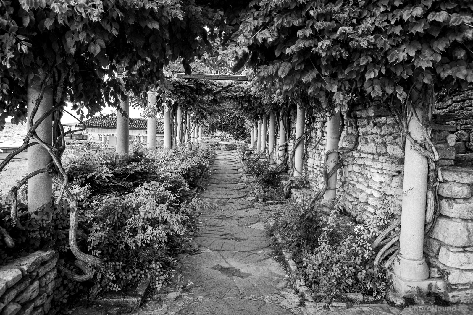 Image of Balchik Botanical Garden by Dancho Hristov