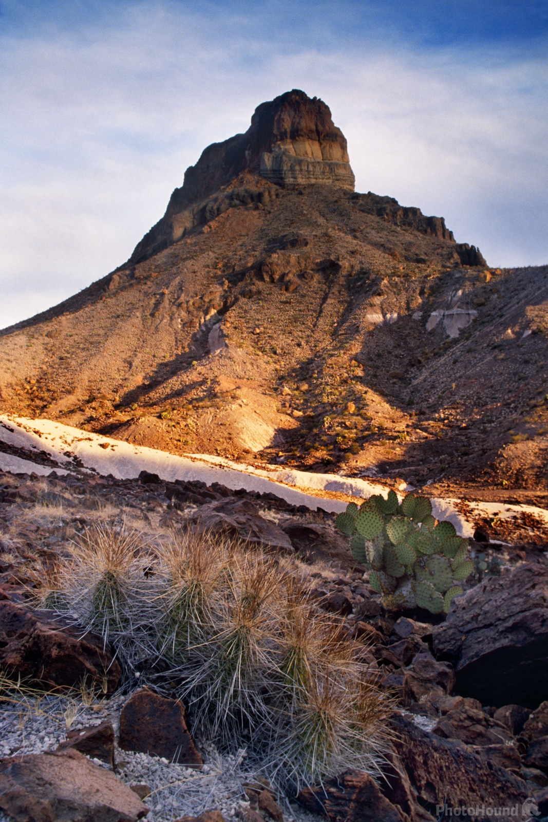 Image of Bluebonnets on the Slope of Cerro Castellan by Jeremy Woodhouse