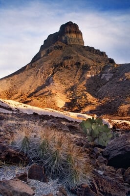 United States photos - Bluebonnets on the Slope of Cerro Castellan