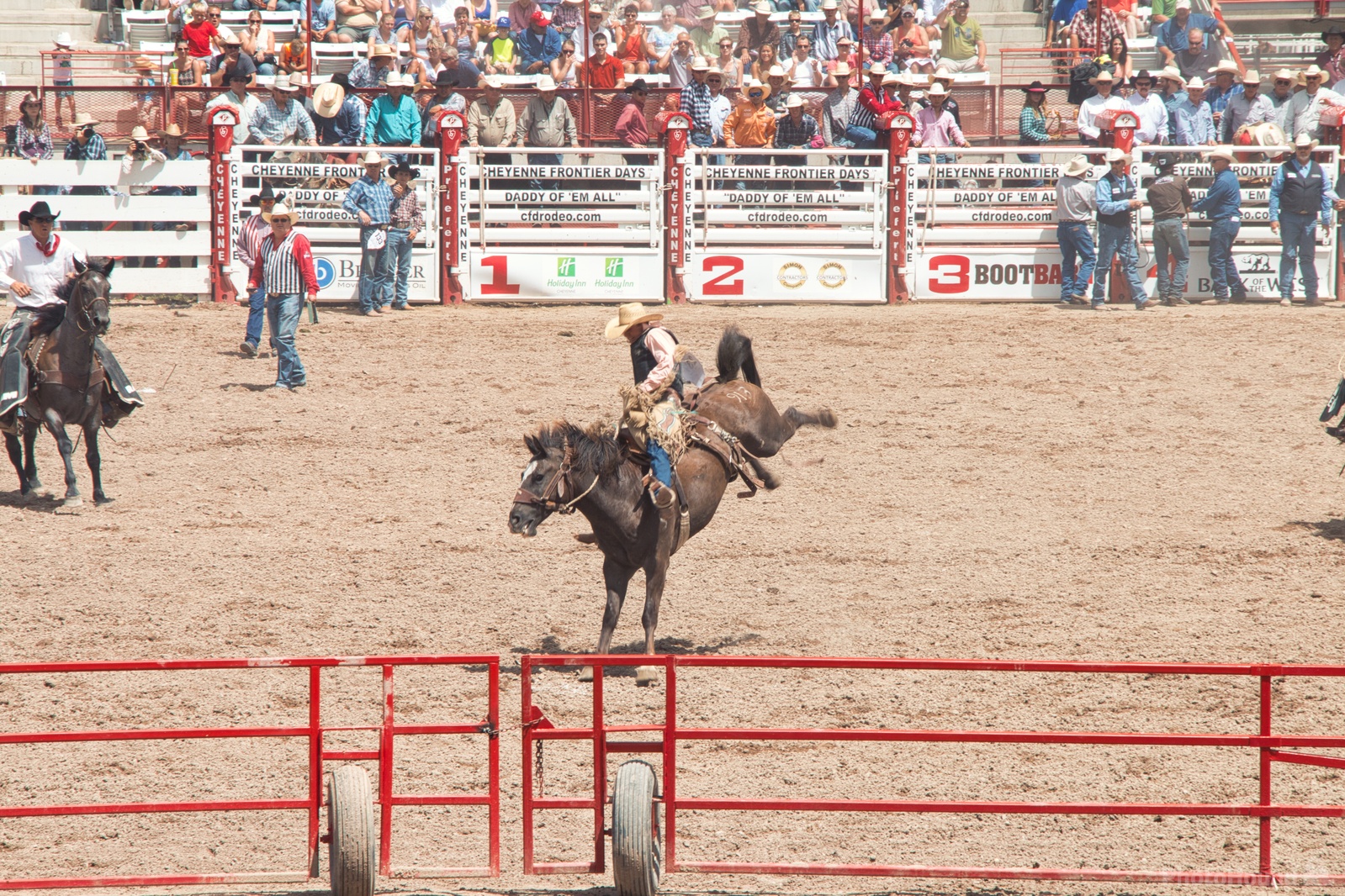 Image of Cheyenne Frontier Days, Wyoming by Jules Renahan