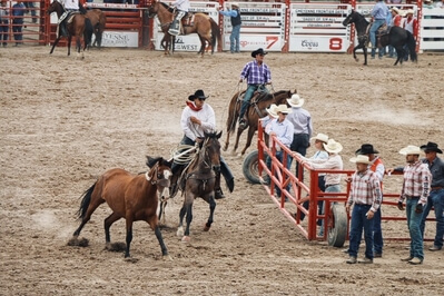 photos of the United States - Cheyenne Frontier Days, Wyoming