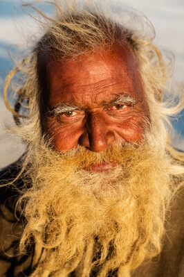 Portrait of a Sadhu with a Long Beard
