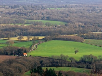 Photo of Leith hill tower - Leith hill tower