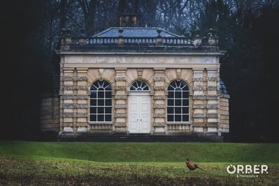 Photobombed by a pheasant whilst trying to get an architecture shot.