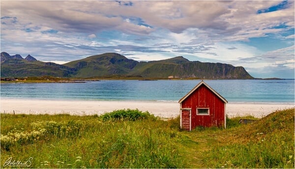 Red cabin in summer