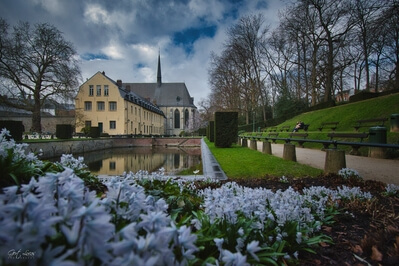 photos of Belgium - Ter Kameren Abbey