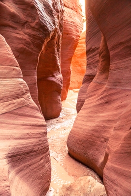 photos of Coyote Buttes North & The Wave - Wire Pass Slot Canyon