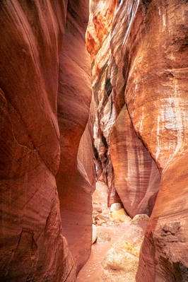 photos of Coyote Buttes North & The Wave - Wire Pass Slot Canyon