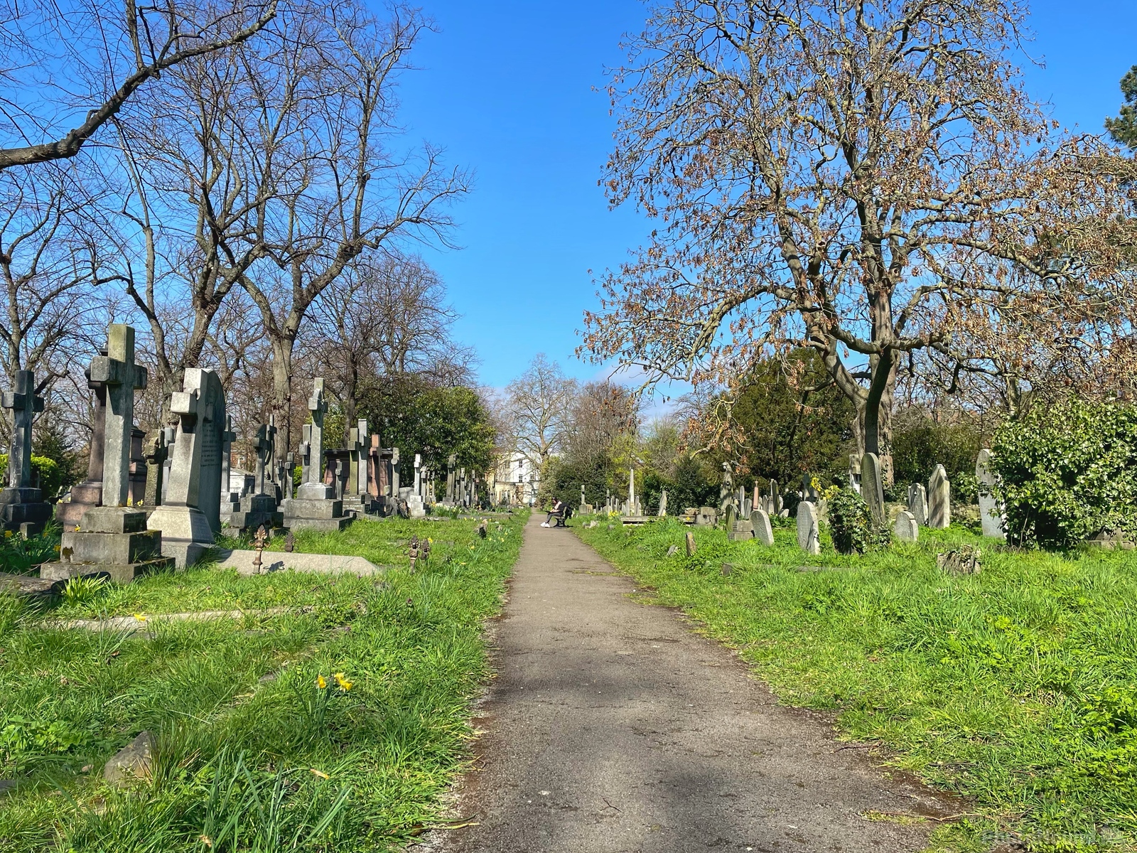 Image of Brompton Cemetery by Jules Renahan