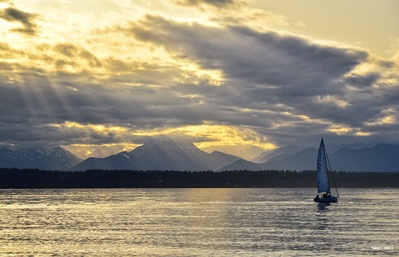 photos of Seattle - Shilshole Bay Marina