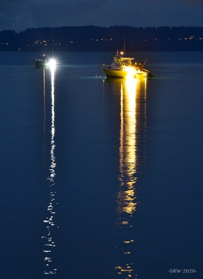 pictures of Seattle - Shilshole Bay Marina