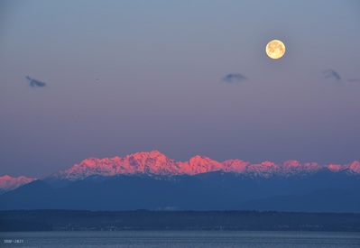 Moonset over the Olympics.