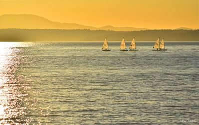 images of Seattle - Shilshole Bay Marina