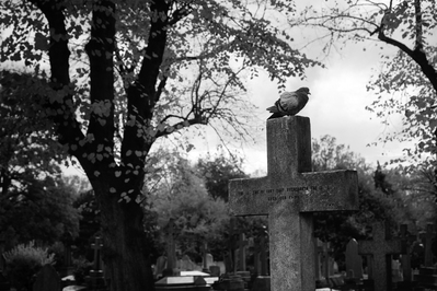 pictures of London - Brompton Cemetery
