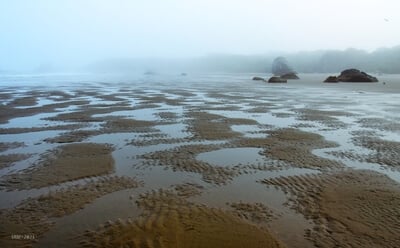 A foggy day. Lots of these on the Oregon coast in the summer!