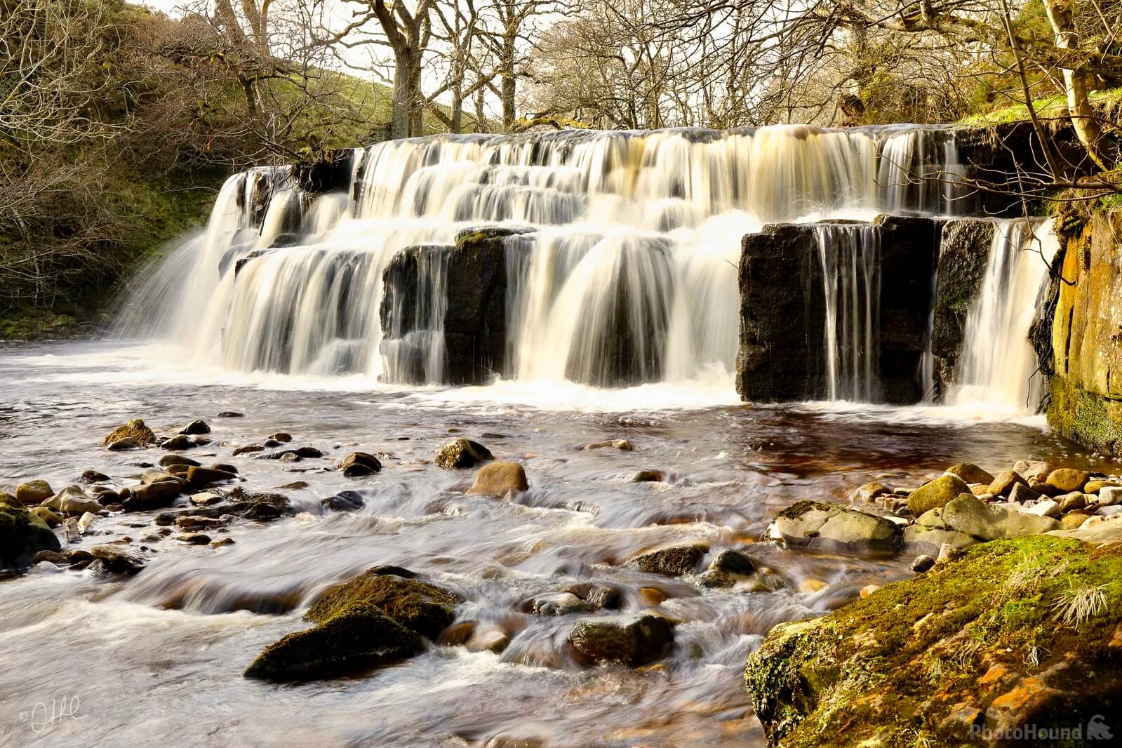 Image of Orgate Force by David Smith