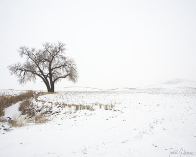 Traveled back in the Winter of '21 to capture this simple image. 
19mm 1/80s f8 ISO 160