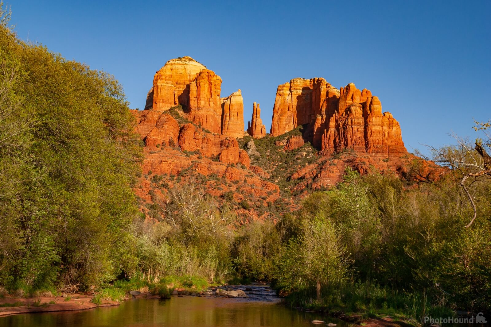 Image of View of Cathedral Rock by Adelheid Smitt