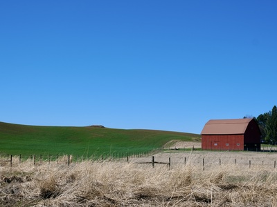 pictures of Palouse - Whelan Road Barn