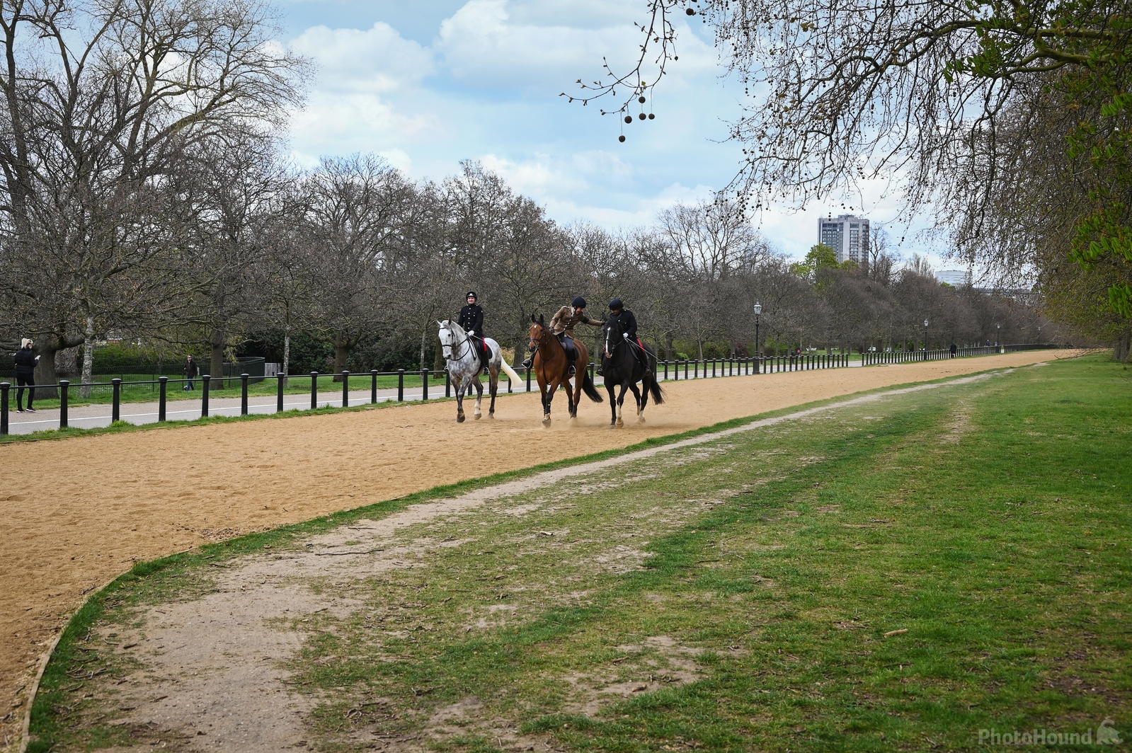 Image of Hyde Park by Jules Renahan