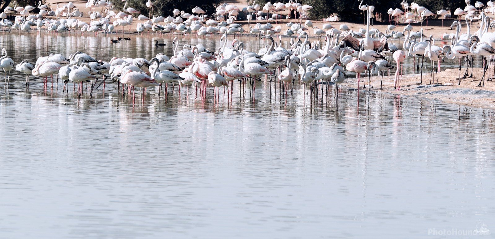 Image of Qudra Lakes by Rivi Wickramarachchi