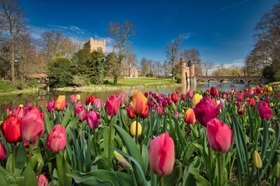 photography locations in Belgium - Floralia, Brussels