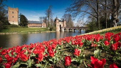 Belgium images - Floralia, Brussels