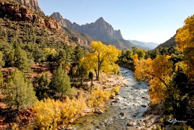 pictures of Zion National Park & Surroundings - The Watchman - View from the Bridge
