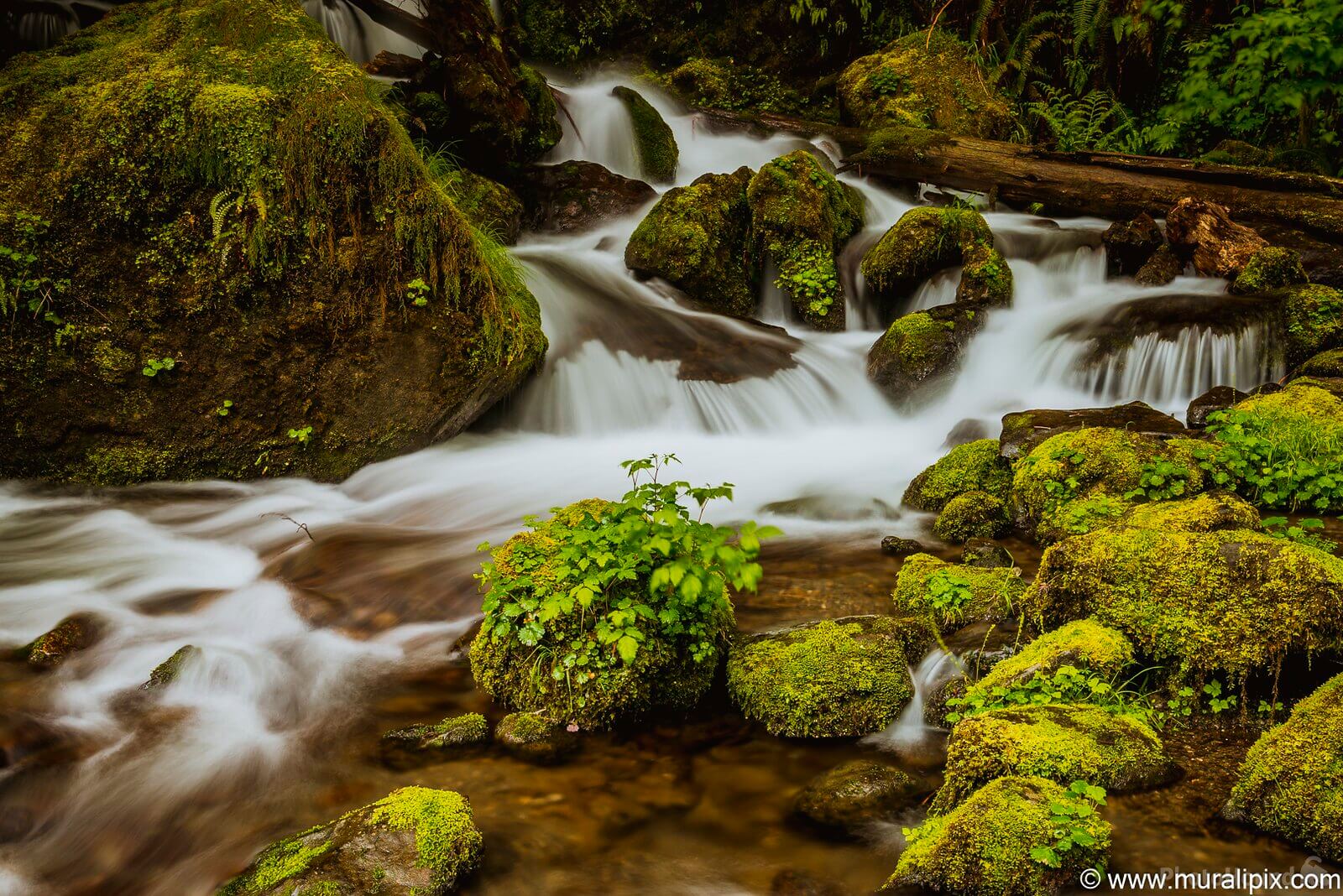 Image of Merriman Falls by Murali Narayanan