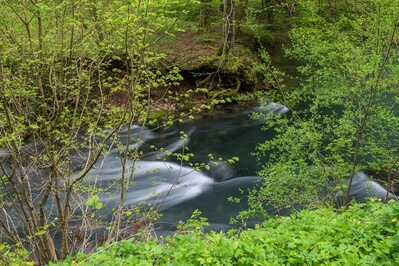 Močilnik - Ljubljanica River Source
