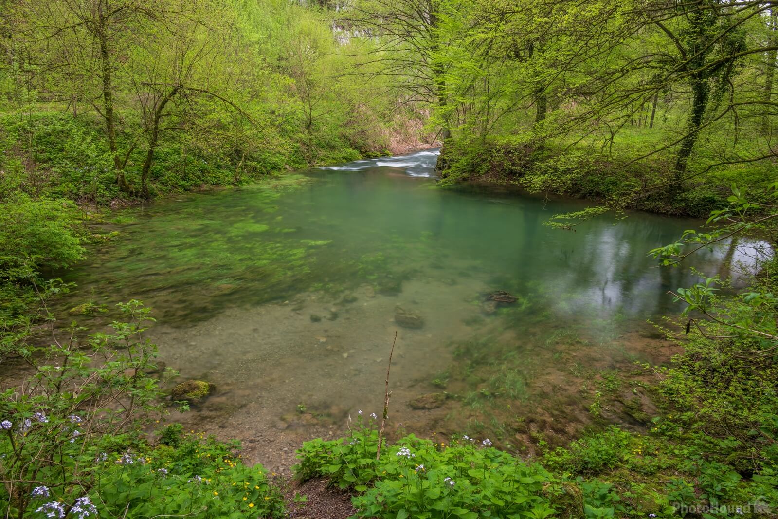 Image of Močilnik - Ljubljanica River Source by Luka Esenko