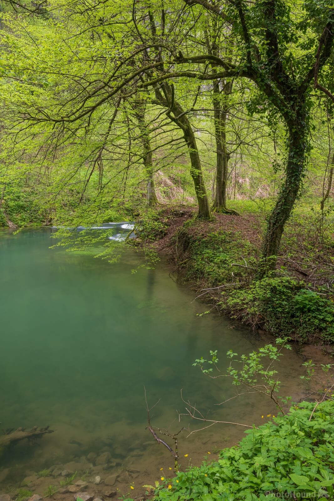 Image of Močilnik - Ljubljanica River Source by Luka Esenko