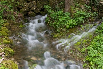 pictures of Slovenia - Močilnik - Ljubljanica River Source