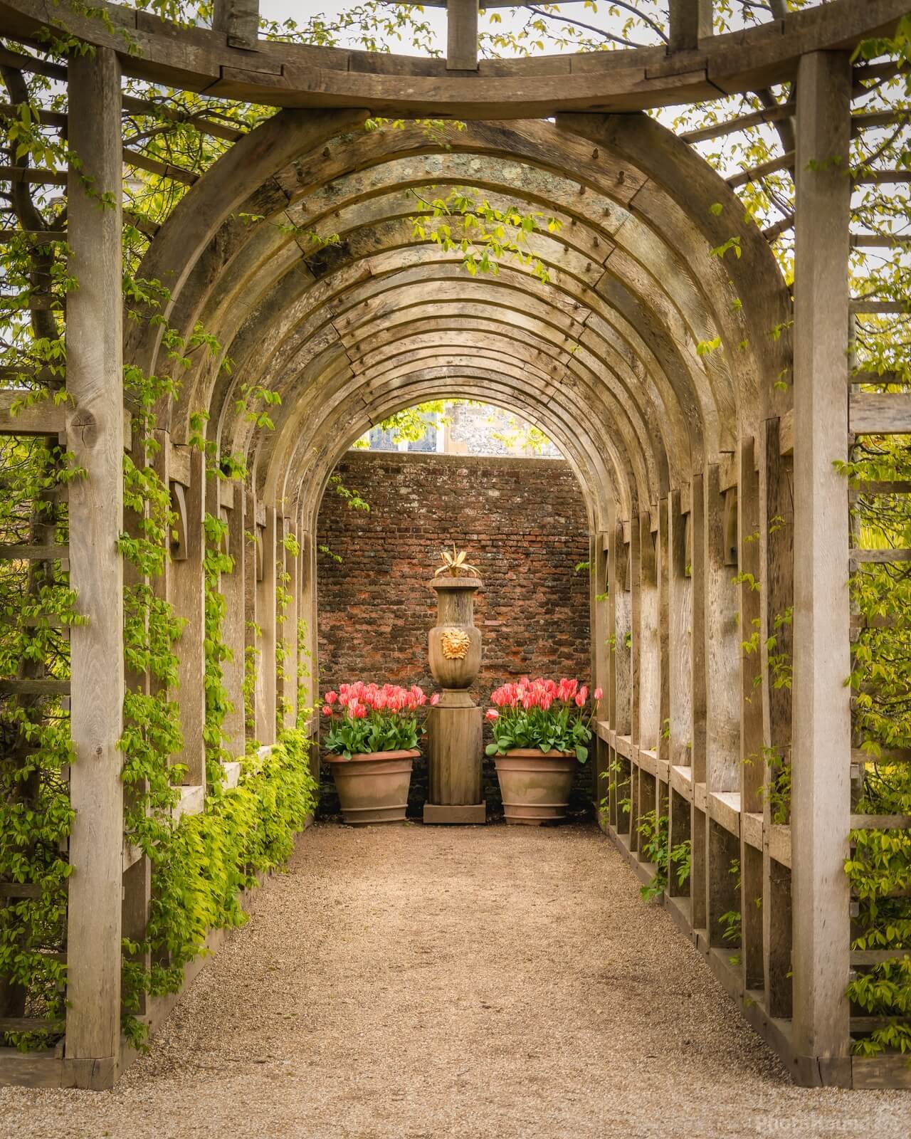 Image of The Collector Earl\'s Garden, Arundel Castle by Jakub Bors