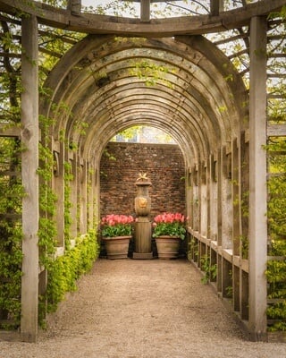 Beautiful tunnel composition of the garden.