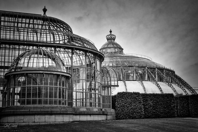 Belgium images - Royal Greenhouses Laeken