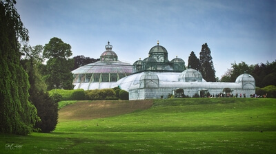 pictures of Belgium - Royal Greenhouses Laeken