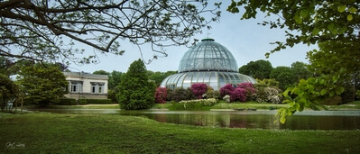 photo locations in Belgium - Royal Greenhouses Laeken
