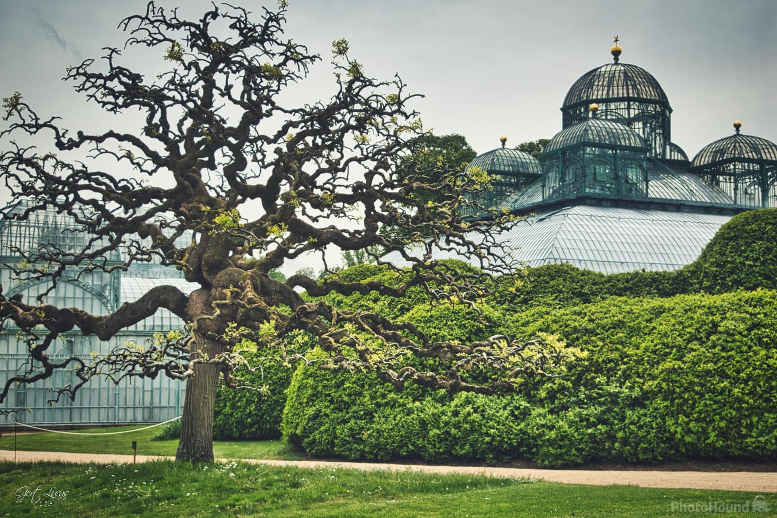 Image of Royal Greenhouses Laeken by Gert Lucas