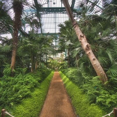 Picture of Royal Greenhouses Laeken - Royal Greenhouses Laeken