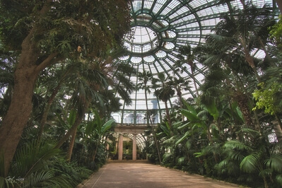 Royal Greenhouses Laeken