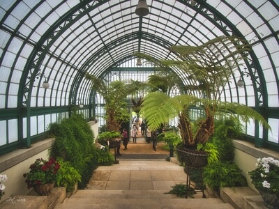 Image of Royal Greenhouses Laeken - Royal Greenhouses Laeken