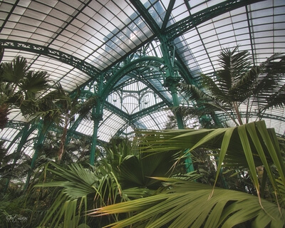 Photo of Royal Greenhouses Laeken - Royal Greenhouses Laeken