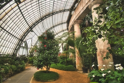 images of Belgium - Royal Greenhouses Laeken