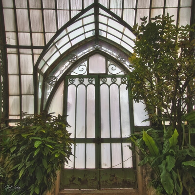 pictures of Belgium - Royal Greenhouses Laeken
