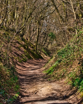 Hollow road