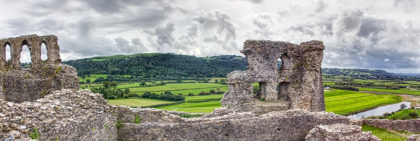 Image of Dryslwyn Castle by Nigel Thomas