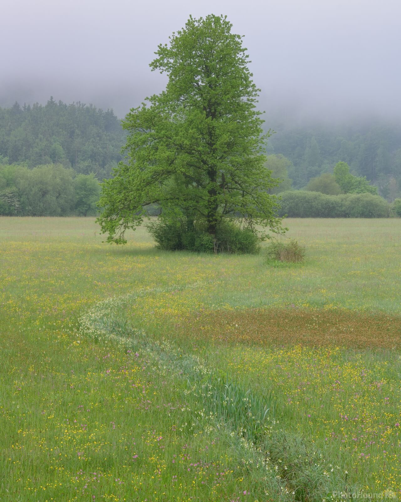 Image of Planinsko Polje (Planina Plains) by Luka Esenko